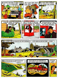 De koddige kater De koddige kater